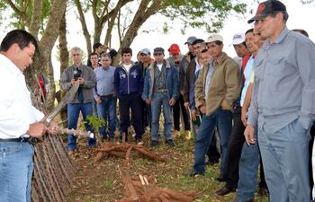 agricultores-se-capacitaron-con-el-objetivo-de-reactivar-los-cultivos-de-mani-y-mejorar-el-rendimiento-de-la-mandioca--200151000000-1371878.jpg