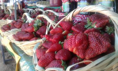 /pf/resources/images/abc-placeholder.png?d=2429