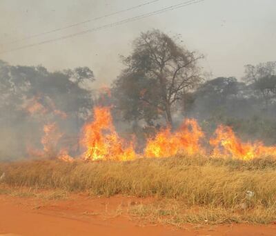 Incendio de pastizales y árboles en San Pedro, al límite con Amambay.