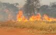 Incendio de pastizales y árboles en San Pedro, al límite con Amambay.