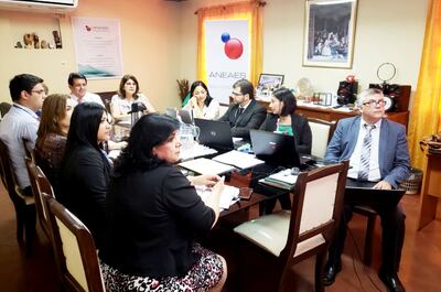 Durante sus reuniones, la Aneaes evaluó 793 carreras y programas entre 2009 y 2019.