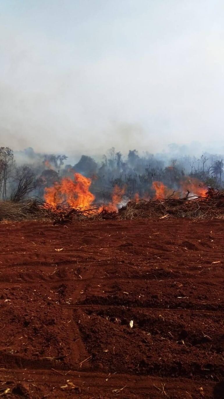 El fuego ya desbastó cerca de 100 hectáreas en San Alberto.