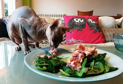 /pf/resources/images/abc-placeholder.png?d=2433