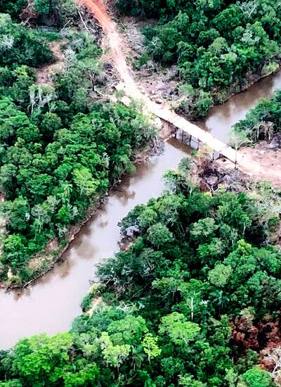 Otra pasarela montada por los traficantes para el paso de sus vehículos en la Reserva Morombí.