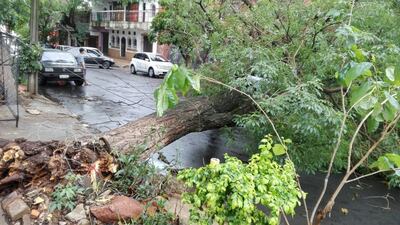 /pf/resources/images/abc-placeholder.png?d=2429