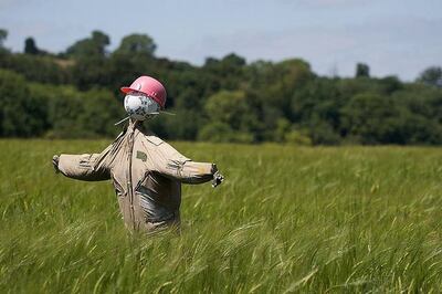 /pf/resources/images/abc-placeholder.png?d=2419