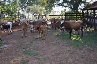 /pf/resources/images/abc-placeholder.png?d=2402