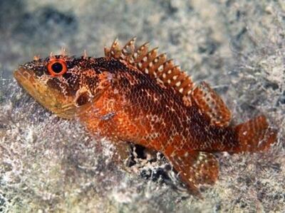 Imagen sin descripción