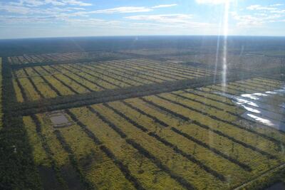 /pf/resources/images/abc-placeholder.png?d=2421