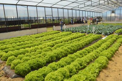 /pf/resources/images/abc-placeholder.png?d=2425