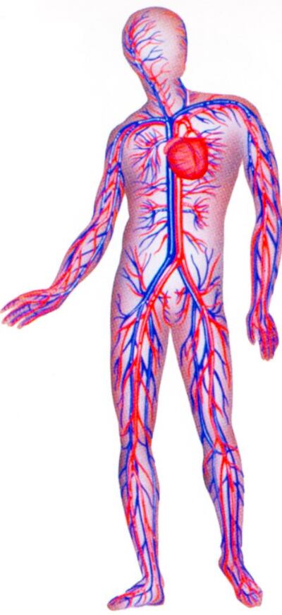 Imagen sin descripción