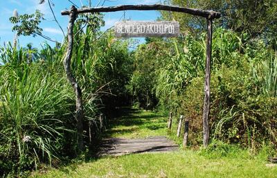 Imagen sin descripción