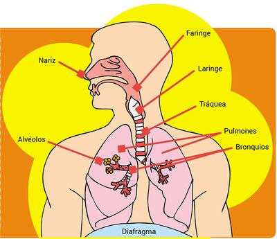 Así respiramos
