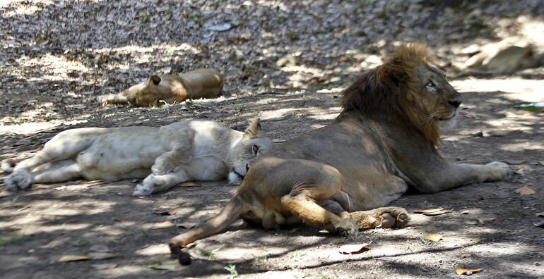 /pf/resources/images/abc-placeholder.png?d=2420