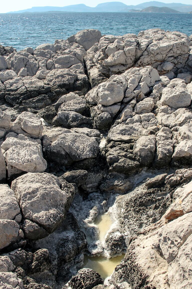 /pf/resources/images/abc-placeholder.png?d=2420