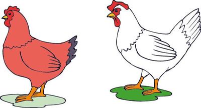 /pf/resources/images/abc-placeholder.png?d=2421