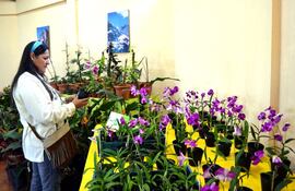el-centro-expo-flora-esta-dotado-de-un-moderno-invernadero-y-cuenta-con-80-variedades-nuevas-de-orquideas-traidas-de-taiwan--202635000000-580683.jpg