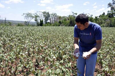 /pf/resources/images/abc-placeholder.png?d=2421