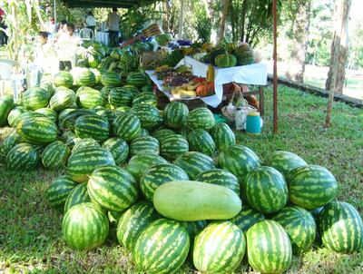 /pf/resources/images/abc-placeholder.png?d=2417