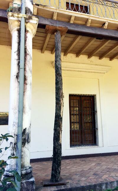 Un tronco fue colocado como puntal para evitar derrumbe, según el concejal Orlando Fiorotto (ANR).