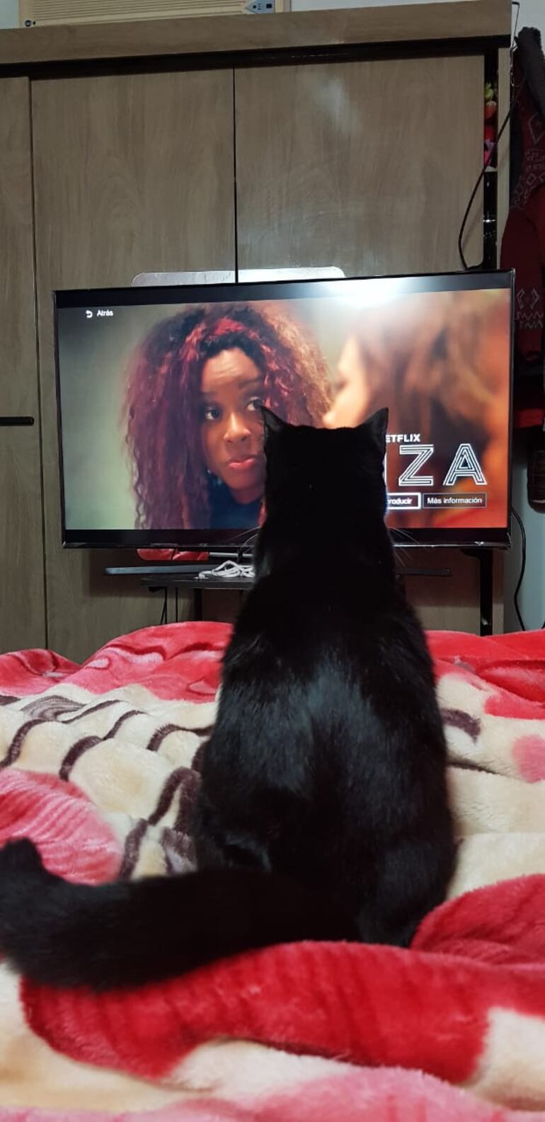 Series en compañía