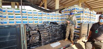 Agentes especiales de la Senad revisan las bolsas repletas de la droga, ocultas entre las frutas.