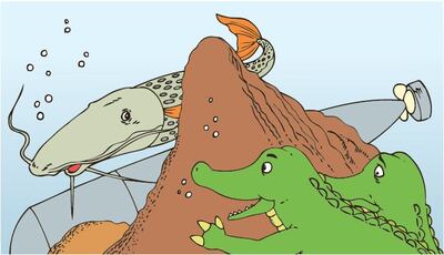 Imagen sin descripción