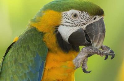 /pf/resources/images/abc-placeholder.png?d=2433