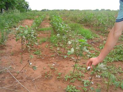 /pf/resources/images/abc-placeholder.png?d=2393