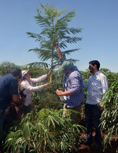 /pf/resources/images/abc-placeholder.png?d=2395