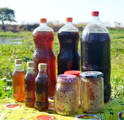 Diversas presentaciones y diferentes tipos de miel cosechados en la zona del Pantanal paraguayo.