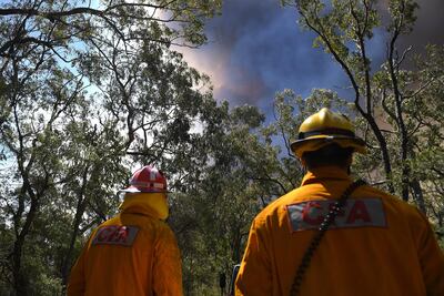 Sydney (Australia), 13/11/2019.- Victorian Country Fire Authority crews prepare containment lines at the Gospers Mountain fire near Colo Heights, New South Wales, 13 November 2019. (Incendio) EFE/EPA/DAN HIMBRECHTS AUSTRALIA AND NEW ZEALAND OUT
