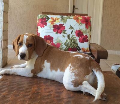 /pf/resources/images/abc-placeholder.png?d=2425