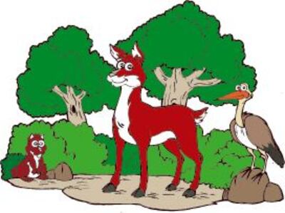 Imagen sin descripción