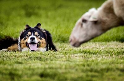 /pf/resources/images/abc-placeholder.png?d=2411