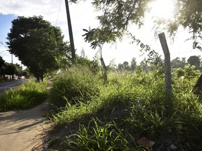El predio perteneciente del Ministerio de Defensa  es un sitio descuidado. Se puede ver la maleza incluso saliendo del terreno.