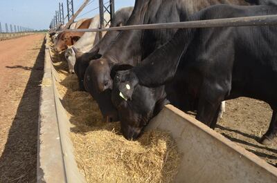 /pf/resources/images/abc-placeholder.png?d=2421