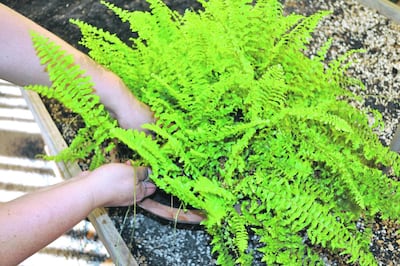 Imagen sin descripción