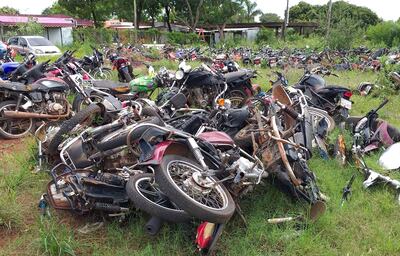 El intendente de Luque mantiene un criadero gigante en el patio de la Comuna y amenaza con multas a los ciudadanos que no limpian sus baldíos. El jefe comunal no predica con el ejemplo.