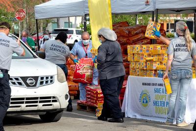 Voluntarios reparten comida gratis para mascotas en Florida.