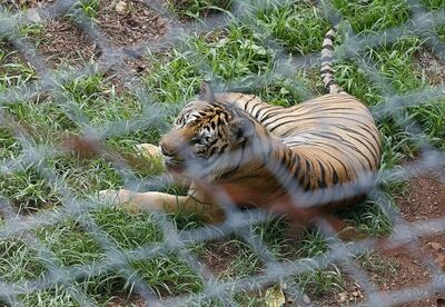 /pf/resources/images/abc-placeholder.png?d=2429