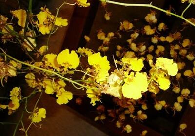 /pf/resources/images/abc-placeholder.png?d=2421