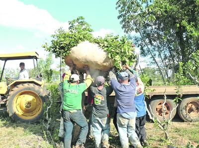 Imagen sin descripción