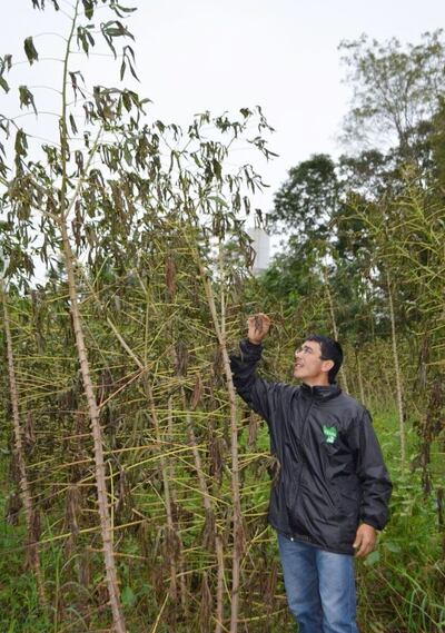 /pf/resources/images/abc-placeholder.png?d=2395