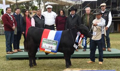 Imagen sin descripción