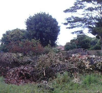 Imagen sin descripción