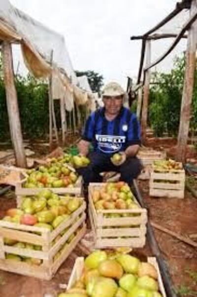 /pf/resources/images/abc-placeholder.png?d=2395