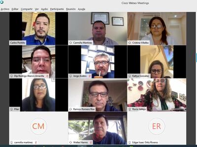 Captura de pantalla de la sesión de la comisión de Asuntos Constitucionales este miércoles.