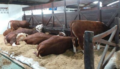 /pf/resources/images/abc-placeholder.png?d=2395