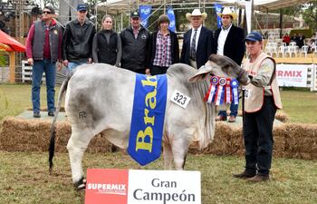 la-gran-campeona-brahman-de-la-expo-2016-de-nombre-eiw-boquerona-169-patty-de-cabana-41-es-la-miss-america-del-sur-en-el-campeonato-mundial-bra-203933000000-1542680.jpg